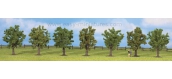 Noch 25090 - 7 arbres fruitiers verts, 8 cm